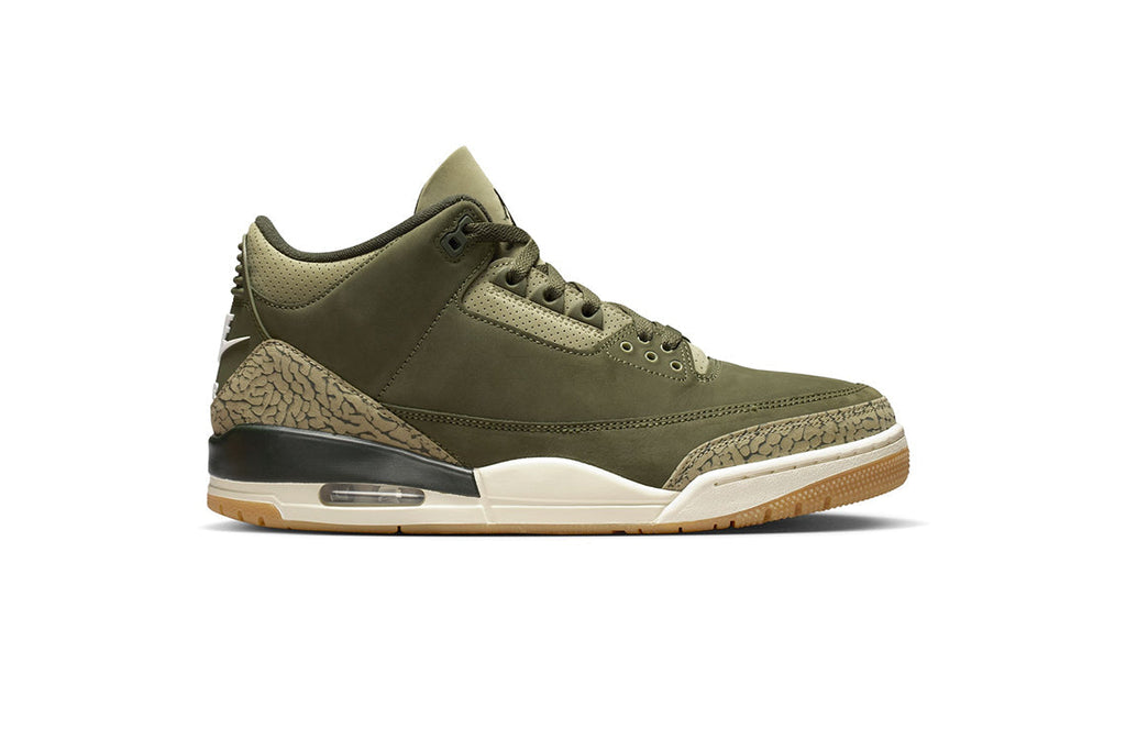 Air Jordan 3 "Family Affair"