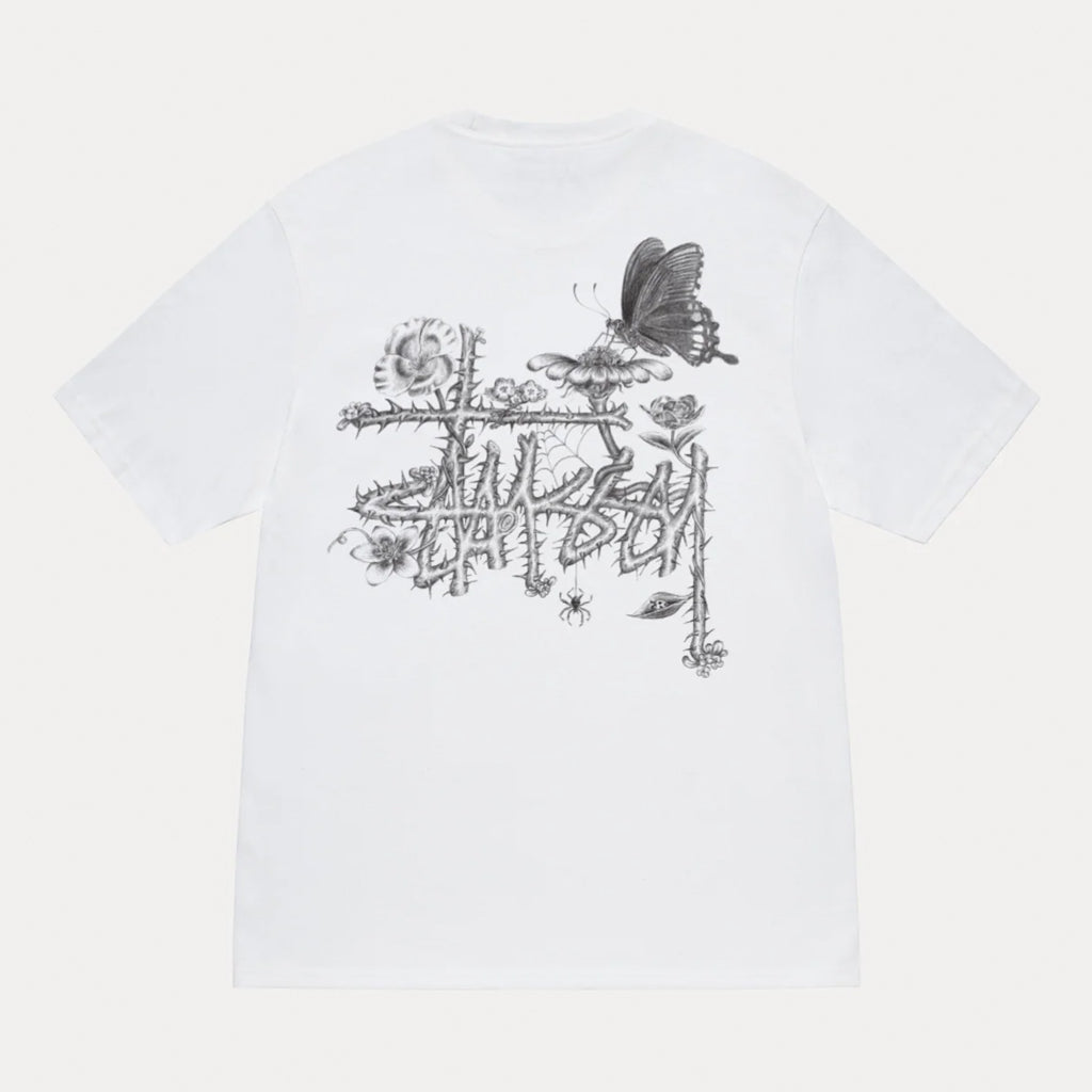 Stussy – arts - rec