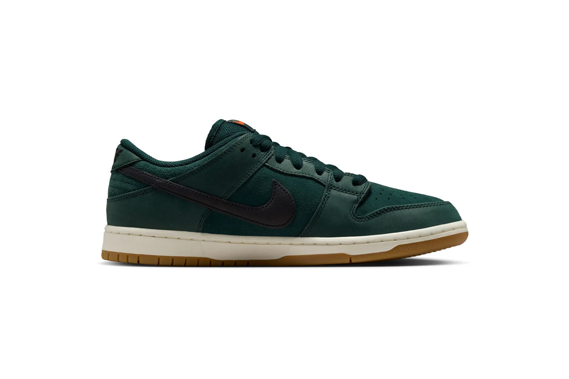 Nike SB – arts - rec